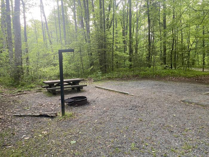 A photo of Site 101, Poplar Loop. No generators allowed on this loop. Bathhouse nearby across the road. Water spigot across from Bathhouse. A photo of Site 101, Poplar Loop. No generators allowed on this loop. Wooded. Bathhouse nearby across the road. Water spigot across from Bathhouse. 