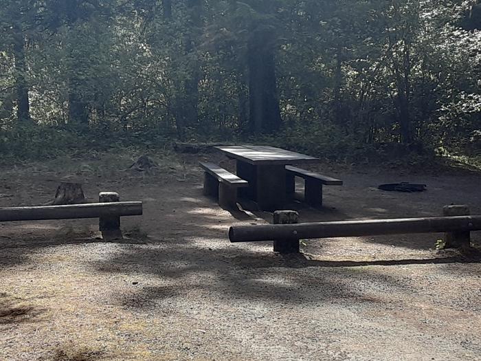 A photo of Site 004 at MOKINS BAY CAMPGROUND with Picnic Table, Fire Pit, Shade