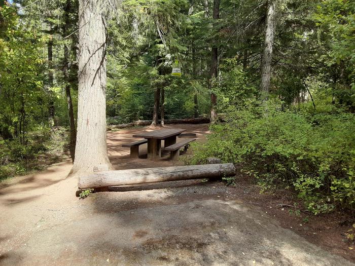 A photo of Site 011 of Loop MOKINS BAY CAMPGROUND at MOKINS BAY CAMPGROUND with Picnic Table, Fire Pit, Shade