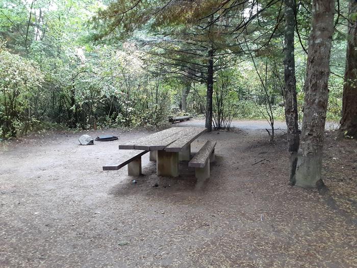 A photo of Site 012 of Loop MOKINS BAY CAMPGROUND at MOKINS BAY CAMPGROUND with Picnic Table, Fire Pit, Shade
