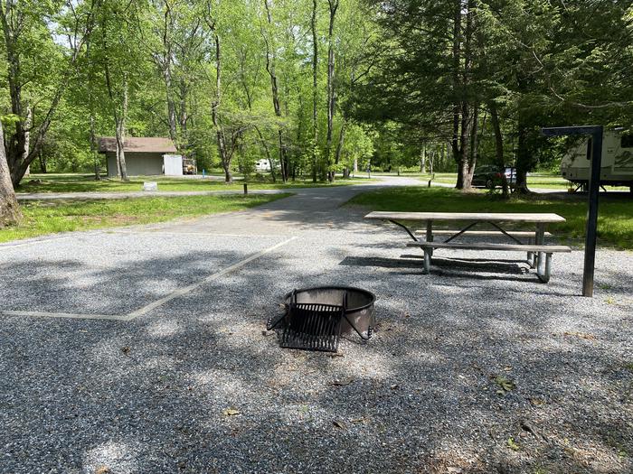 Davidson River Campground - Sycamore Loop, Site 003Located across from Bathhouse. Water spigot located in front of bathhouse. View of fire ring and picnic table  Davidson River Campground - Sycamore Loop, Site 003
Located across from Bathhouse. Water spigot located in front of bathhouse. 