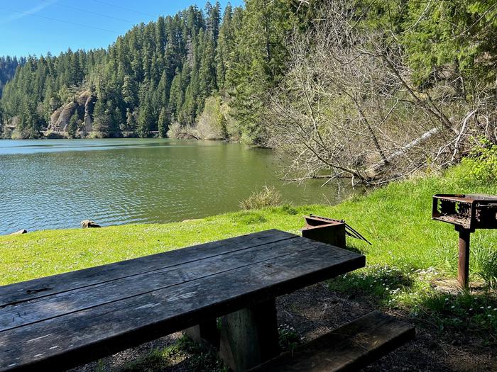 East Shore Recreation SitePicnic table with a view over Loon Lake.