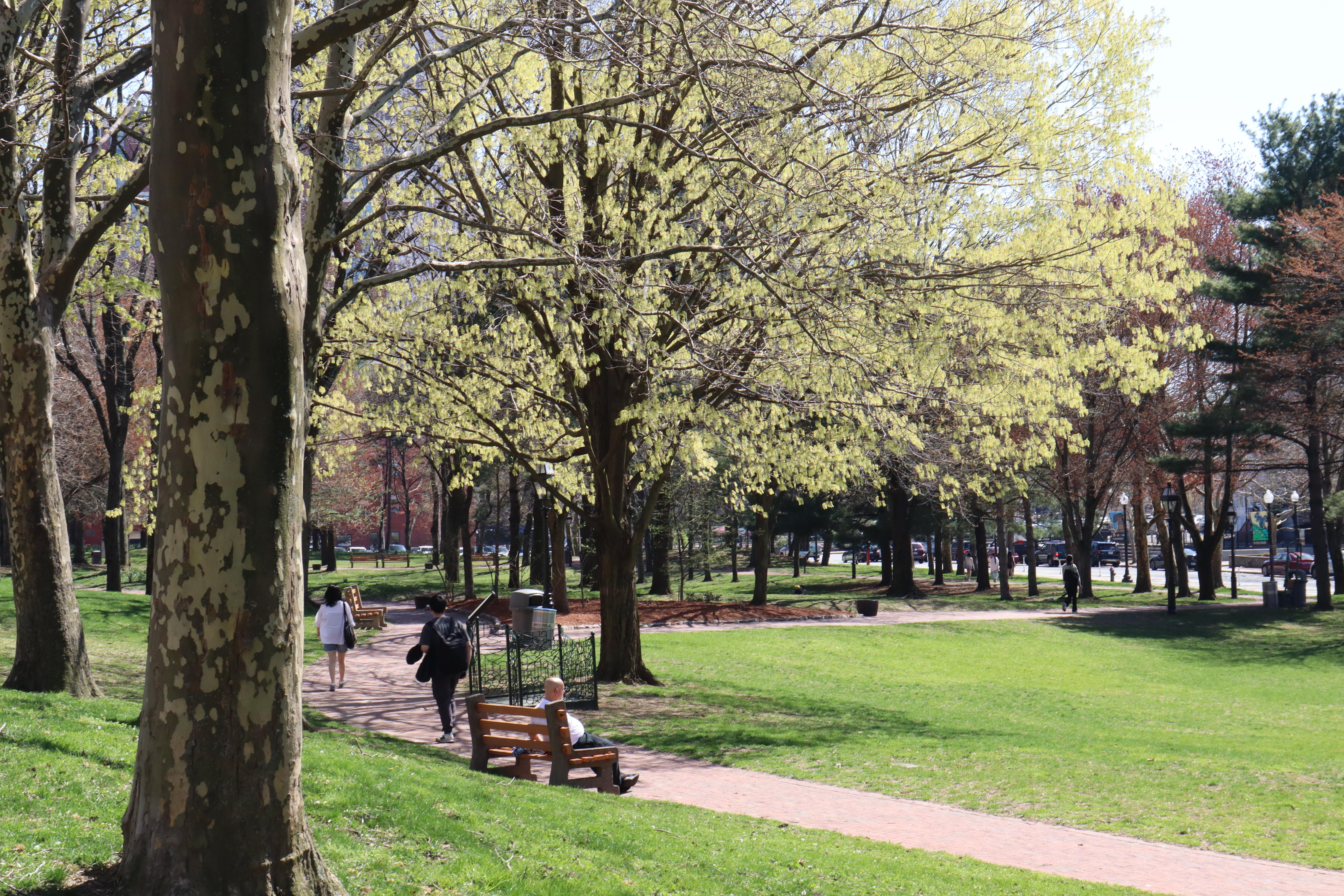 National Memorial Grounds