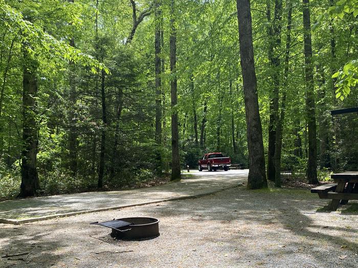 Davidson River Campground - Site 014 - White Oak (WOAK) Loop. Short distance to bathhouse that is near the entrance. Water spigot next site over. 