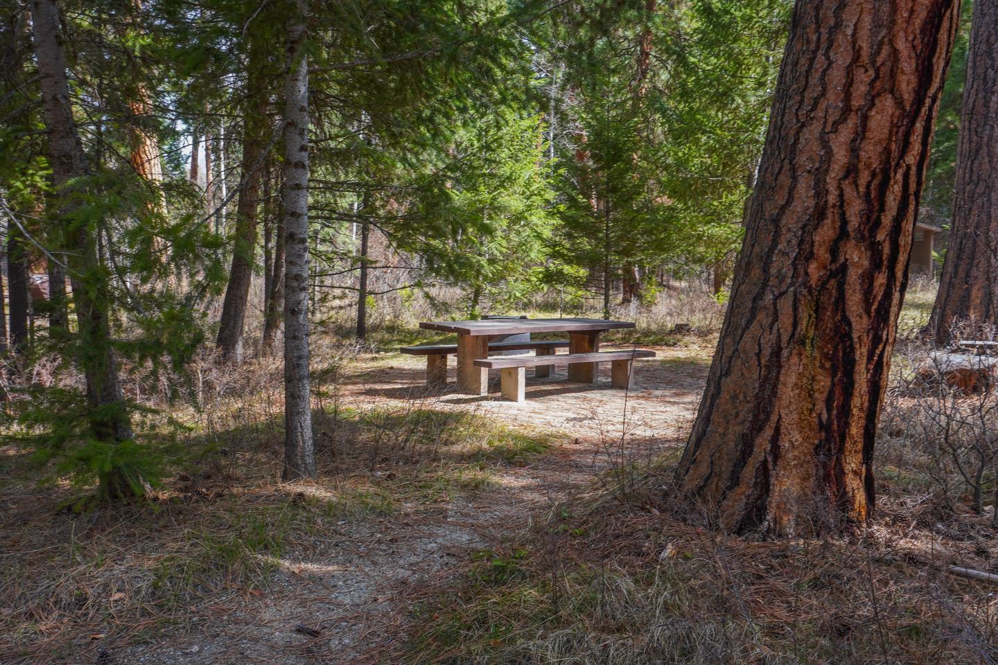 Alta Campground Campsite # 9 TableCampsite # 9 Table
