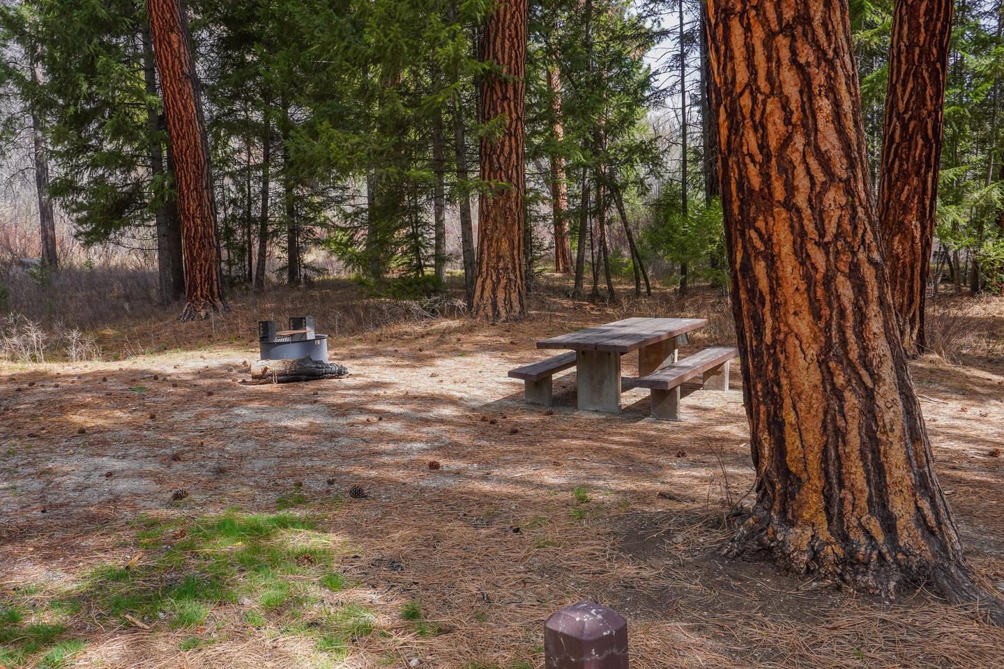 Alta Campground Campsite # 10 TableCampsite # 10 Table