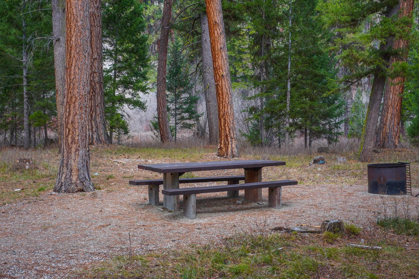 Alta Campground Campsite Site # 15 TableCampsite # 15 Table