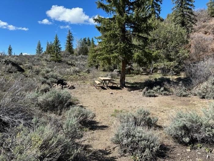 Ponderosa Campground, Curecanti, Gunnison, Colorado, Remote, Wildlife, Middle Loop Walk In