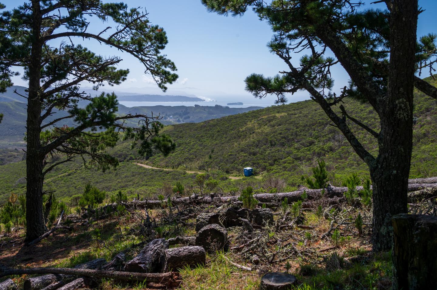 View from Site 1 at Hawk Camp on a clear day. You can see the trail leading the to campground, and the port-o-pottie alongside it. In the distance you can the straight of the Golden Gate, the ocean, and the city of San Francisco.View from Site 1 at Hawk Campground