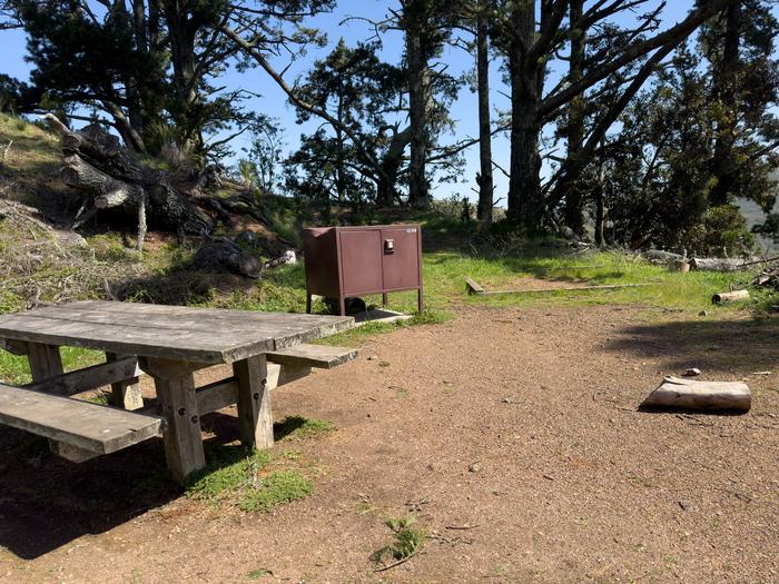 Site 2 at Hawk Campground. There is a picnic table, a dented bear locker, and a tent pad. Around the campsite are tall coniferous trees.Site 2 at Hawk Campground.