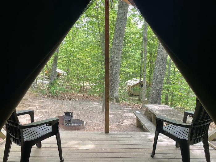 Glamping site 83 - view from inside the tent 