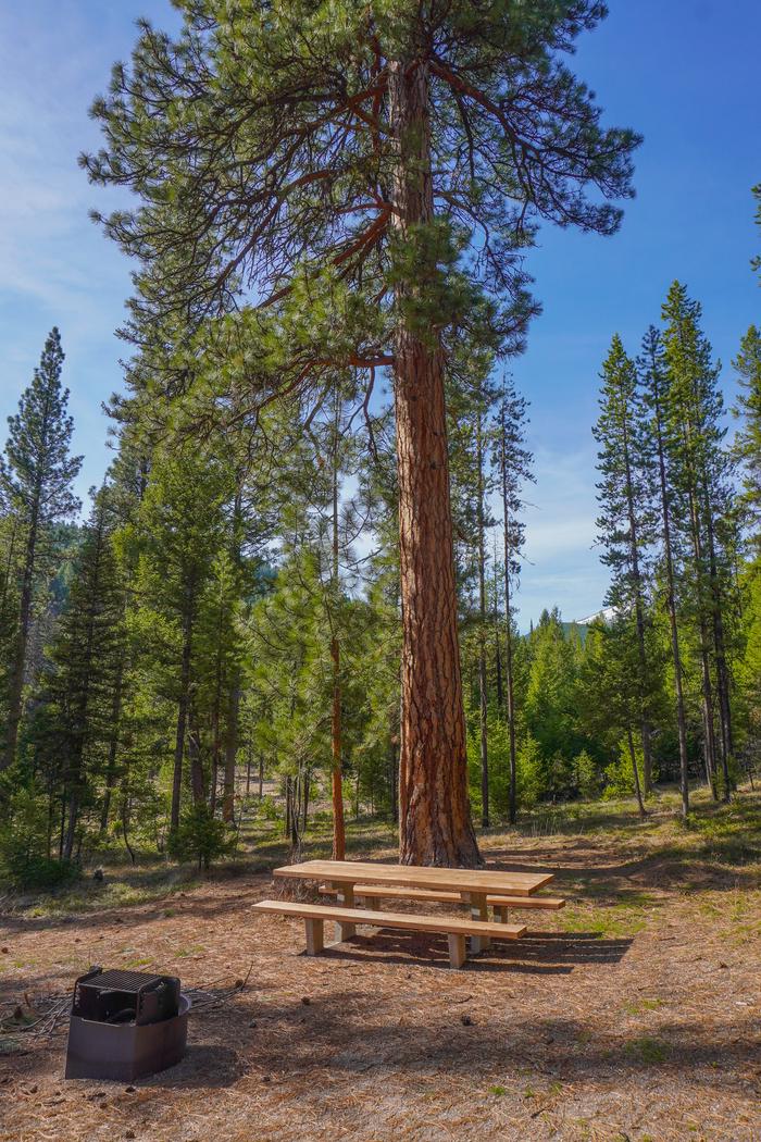 Indian Trees Campground Site  # 8 tableSite # 8 table