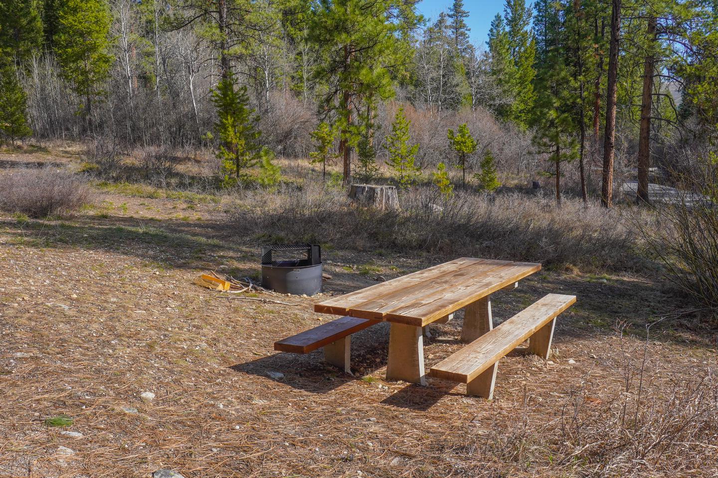 Indian Trees Campground Site # 9 tableSite # 9 table