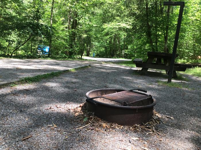 DAVIDSON RIVER CAMPGROUND, Site 104, Poplar Loop. Located across the road from the bathhouse. Water spigot located in front of bathhouse. Wooded site. No generators allowed on this loop. 