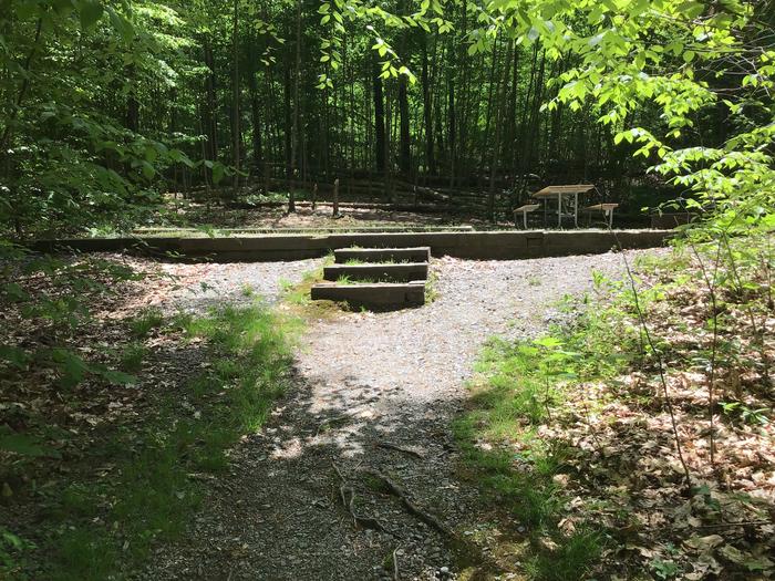 DAVIDSON RIVER CAMPGROUND, Site 105, Poplar Loop. Located across the road from the bathhouse. Water spigot located in front of bathhouse. Wooded site. Generators not allowed on this  Fire ring and picnic table at top of stairs. 
