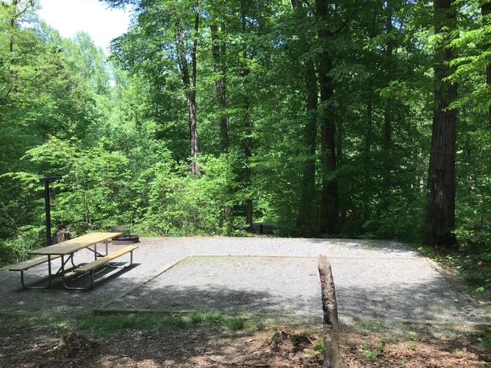 DAVIDSON RIVER CAMPGROUND, Site 105, Poplar Loop. Located across the road from the bathhouse. Water spigot located in front of bathhouse. Wooded site. Generators not allowed on this loop.  Fire ring and picnic table at top of stairs. 