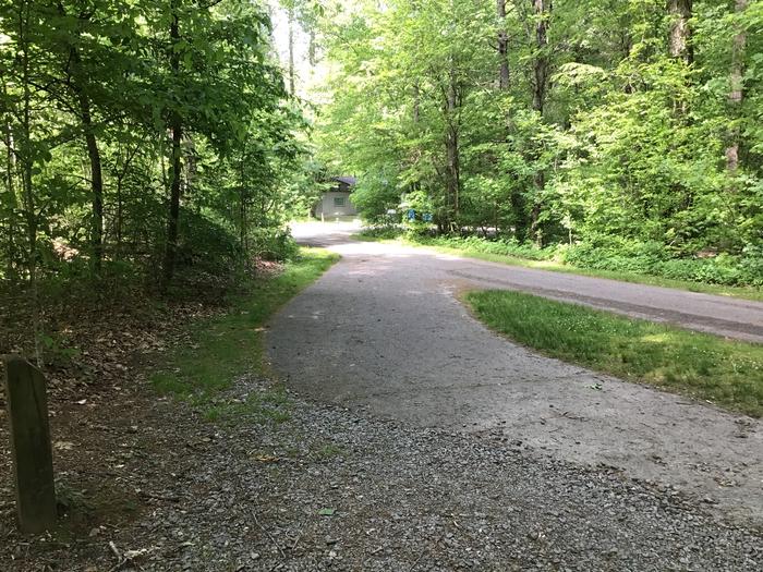 DAVIDSON RIVER CAMPGROUND, Site 105, Poplar Loop. Located across the road from the bathhouse. Water spigot located in front of bathhouse. Wooded site. Generators not allowed on this loop. Fire ring and picnic table at top of stairs 