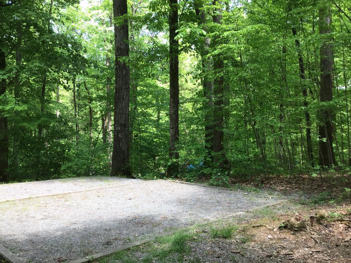 DAVIDSON RIVER CAMPGROUND, Site 105, Poplar Loop. Located across the road from the bathhouse. Water spigot located in front of bathhouse. Wooded site. Generators not allowed on this loop.  Fire ring and picnic table at top of stairs. 
