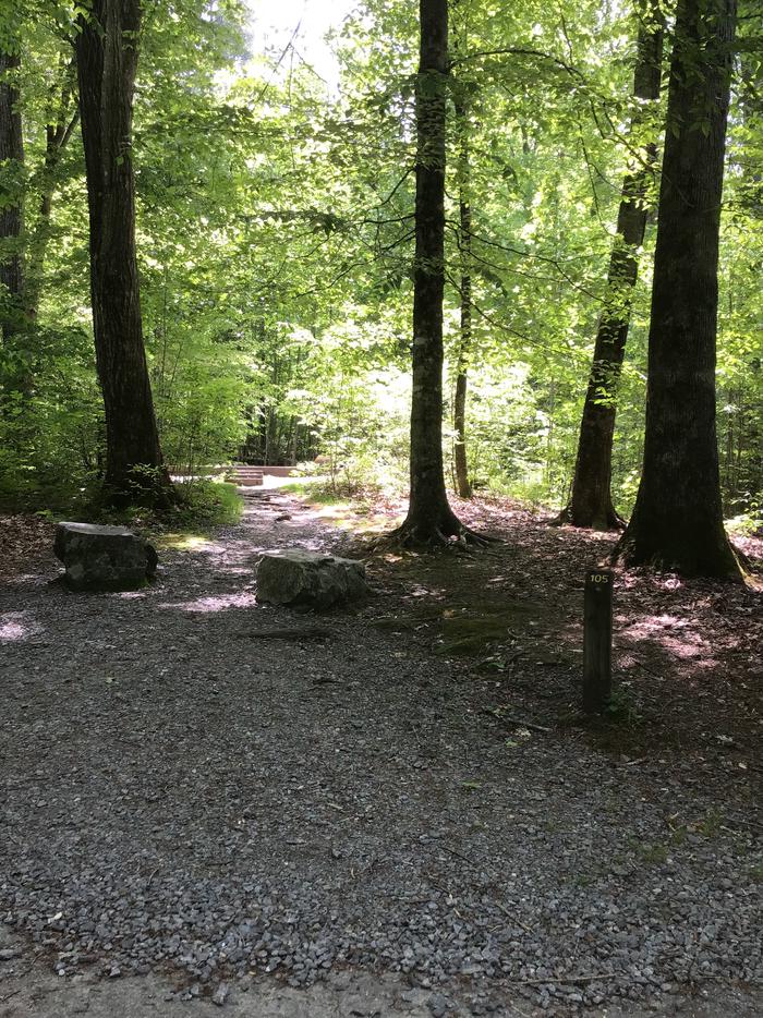 Davidson River Campground, Site 105, Poplar Loop.  Short walk to the bathhouse. Water spigot across from bathhouse. Stair steps to tent pad. Wooded site. Generators not allowed on this loop.  Fire ring and picnic table at top of stairs. 