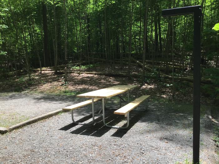 DAVIDSON RIVER CAMPGROUND, Site 105, Poplar Loop. Located across the road from the bathhouse. Water spigot located in front of bathhouse. Wooded site. Generators not allowed on this loop. Fire ring and picnic table at top of stairs. 