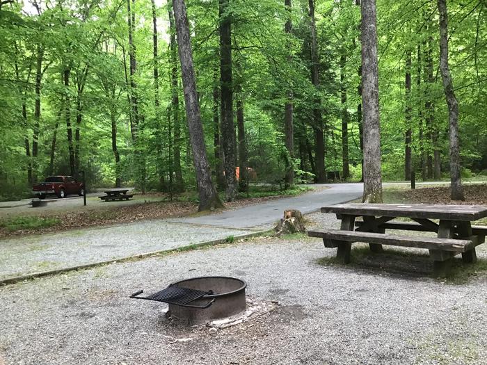 DAVIDSON RIVER Campground, Site 080, Laurel Loop. One site away from bathhouse. Water spigot next to site nearby. 
