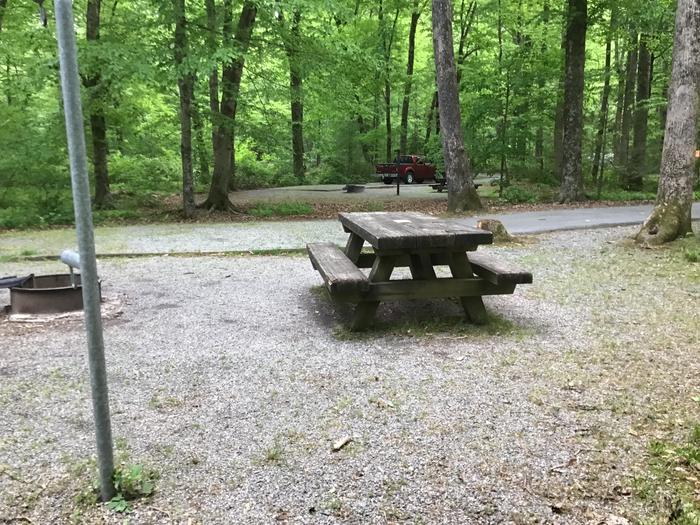 DAVIDSON RIVER Campground, Site 080, Laurel Loop. One site away from bathhouse. Water spigot next to site nearby. 