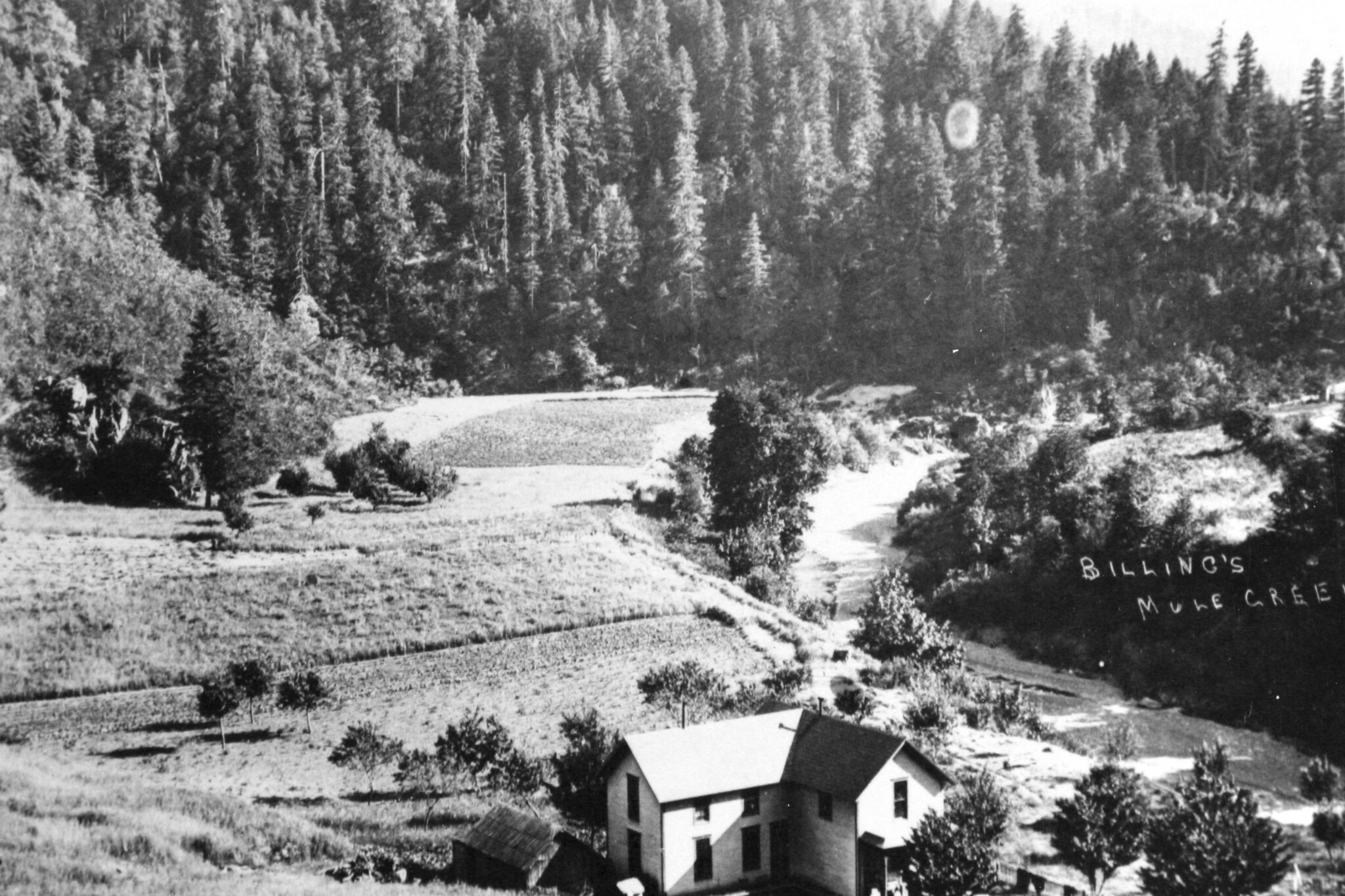 Undated view of the Rogue River Ranch.