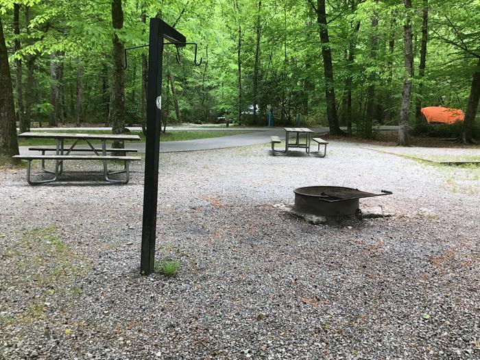 Davidson River Campground, Site 084, Laurel Loop. Double Site.  Pull thru drive. Two sites from bathhouse. Water spigot across from site. 