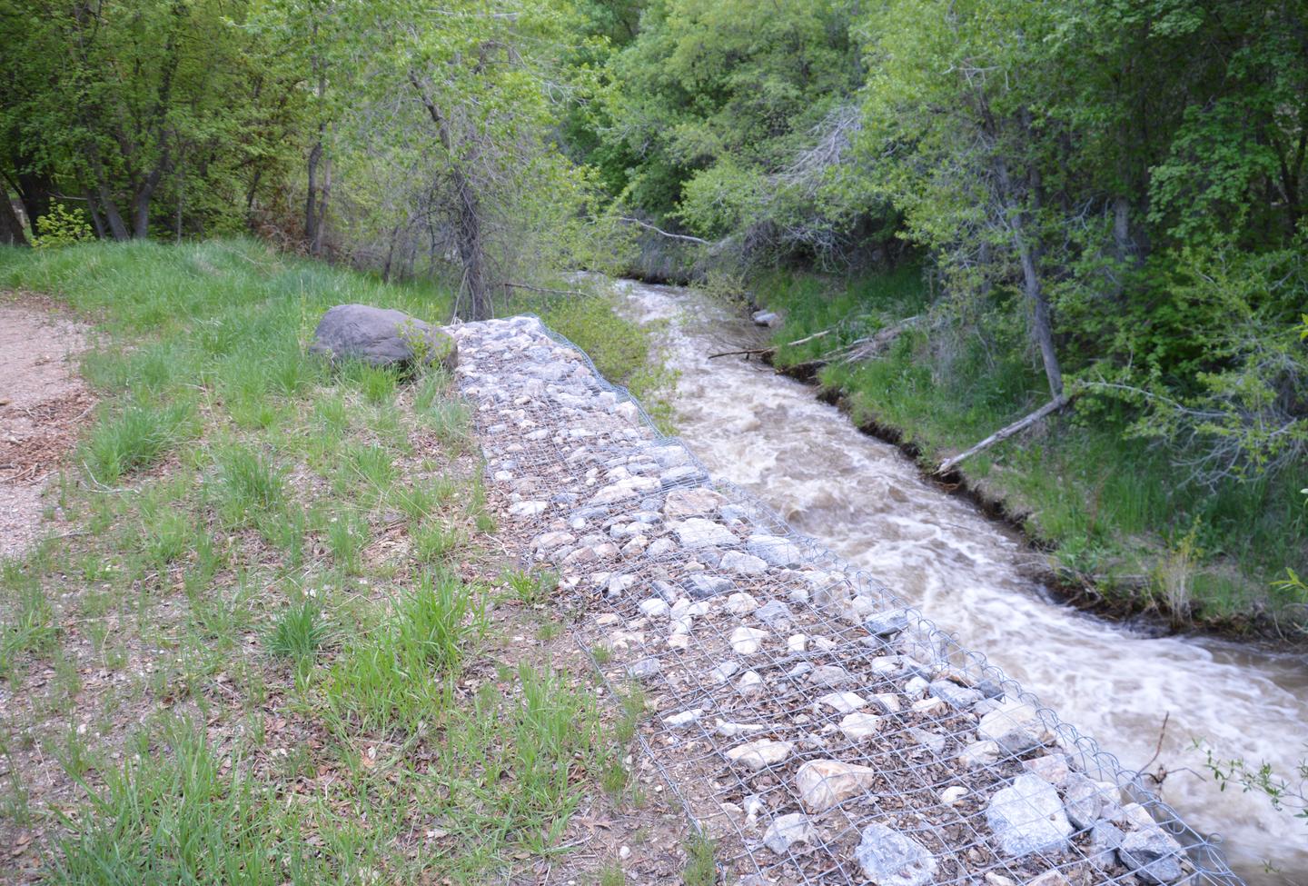 Upper Loop Site 17 Creek