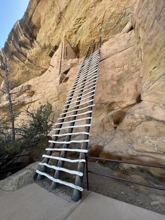  A long double-wide wooden ladder on top of a concrete platform ascends a sheer stone cliff face near stone walls. A 32 foot tall, double-wide wooden ladder ascends a sheer cliff face to access the Balcony House cliff dwelling.