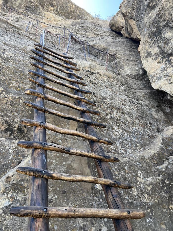 A wooden ladder goes up a stone cliff face to chain-link fencing and carved stone steps under a blue sky.One of two 17 foot ladders ascends a sheer cliff face on the Balcony House exit trail. Steep steps carved into the cliff face are visible above the ladder.
