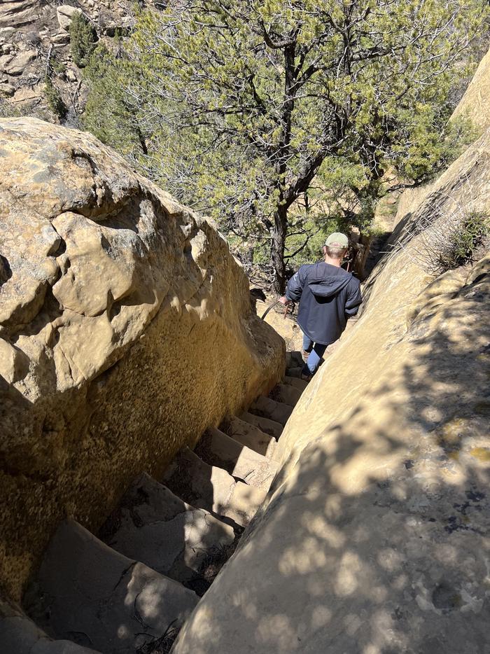 A person descends steep stone steps into the canyon between two large rocks and towards several trees.A visitor descends steep stone steps through a narrow crack in a rock cliff on the Cliff Palace entrance trail.