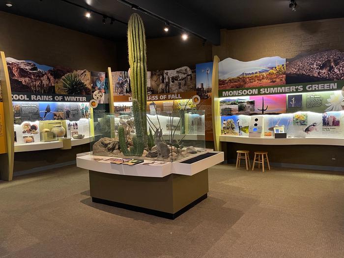 Exhibit RoomThe exhibit room is a great way to learn about the Sonoran Desert!