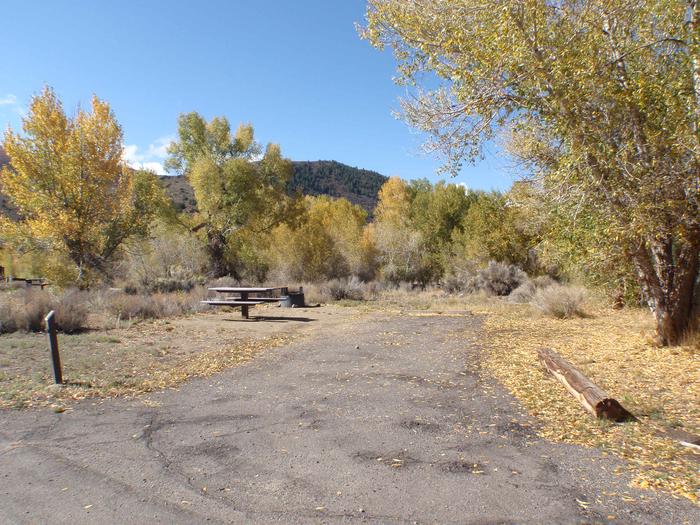 Campsite 3: driveway, picnic table, and firepit. Set in sagebrush and trees.