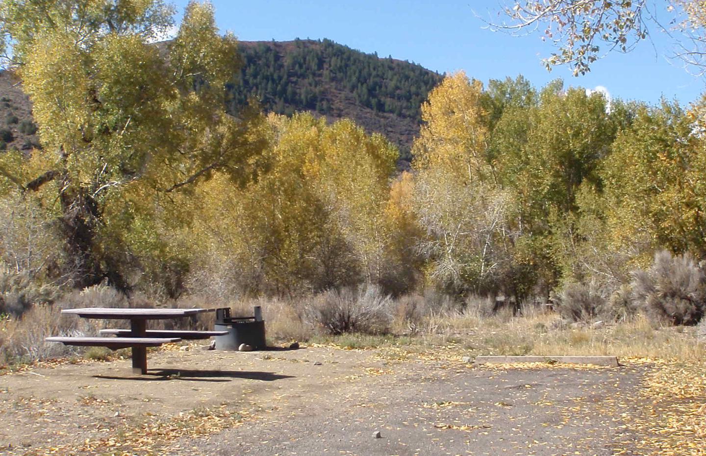 Campsite 3: driveway, picnic table, and firepit. Set in sagebrush and trees.
