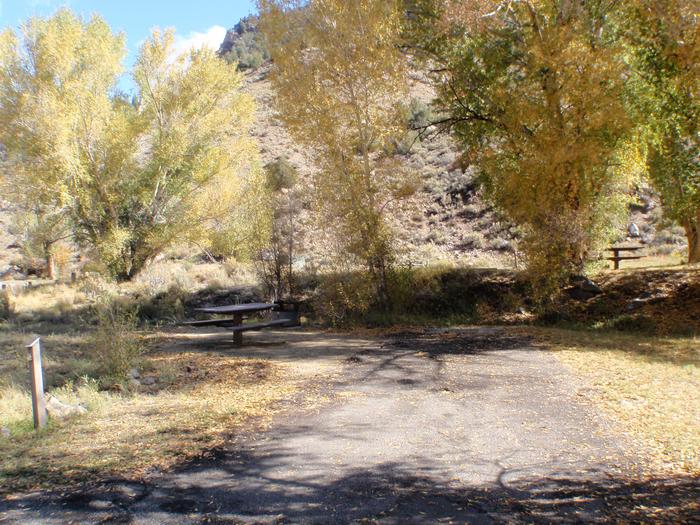 Campsite 13: driveway, picnic table, and firepit. Set in sagebrush and trees.