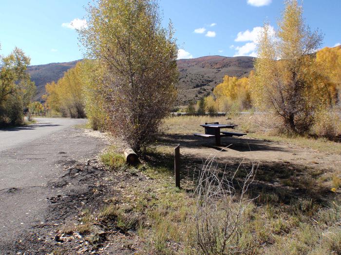 Campsite 19: pull-through driveway, picnic table, and firepit. Set in sagebrush and trees.