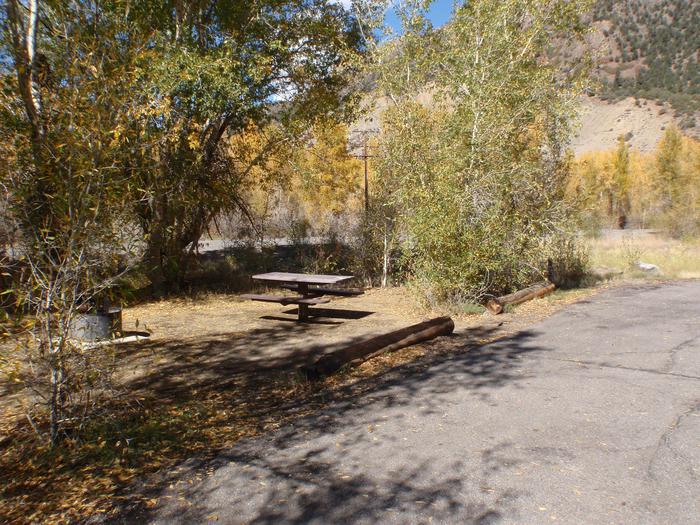 Campsite 21: pull-through driveway, picnic table, and firepit. Set in sagebrush and trees.