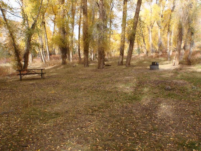 Tent area with picnic table and fire pit. Fall foliageSecond tent area with picnic table and fire pit.