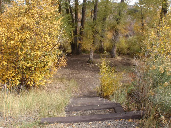 Stairs to tent and picnic area. Trees with fall foliage.Stairs to tent and picnic area.