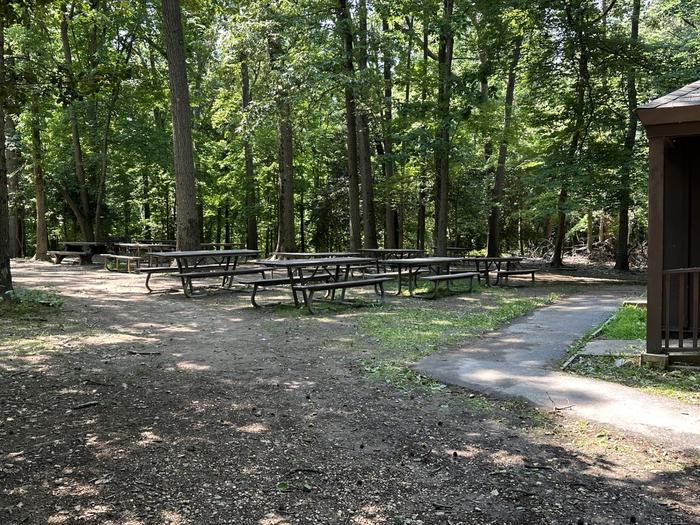 Preview photo of Greenbelt Park Picnic Areas