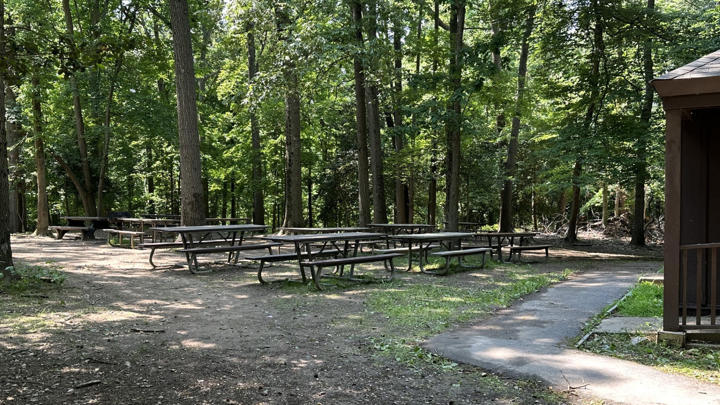 GREENBELT PARK PICNIC AREA- Laurel Picnic AreaEnjoy a family reunion or company picnic in the Urban Oasis (Holly picnic area)