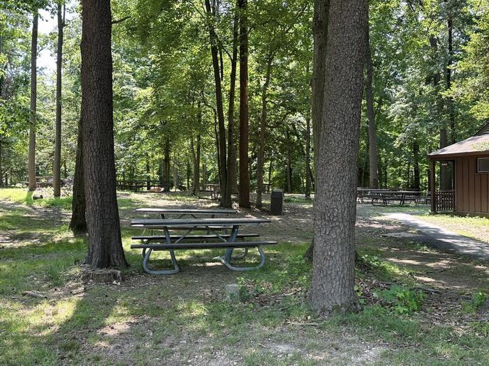 GREENBELT PARK PICNIC AREA- Enjoy a family reunion or company picnic in the Urban Oasis 