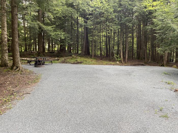 A photo of Site 014 of Loop HAPG at HAPGOOD POND with Picnic Table, Fire Pit, Shade