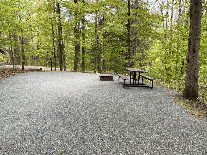 A photo of Site 021 of Loop HAPG at HAPGOOD POND with Picnic Table, Fire Pit, Shade