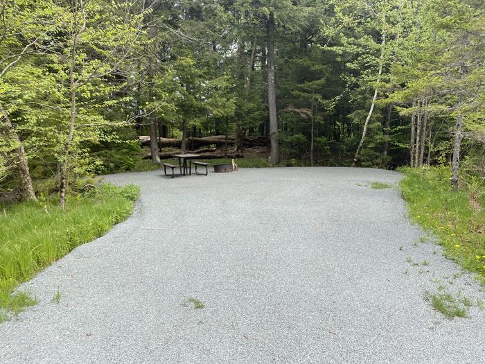 A photo of Site 007 of Loop HAPG at HAPGOOD POND with Picnic Table, Fire Pit, Shade