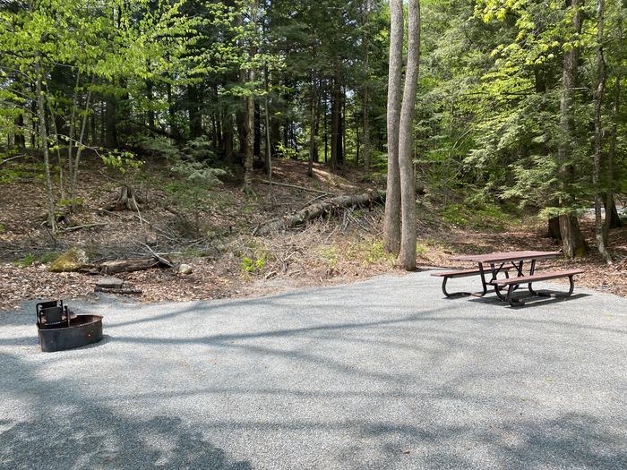 A photo of Site 026 of Loop HAPG at HAPGOOD POND with Picnic Table, Fire Pit, Shade