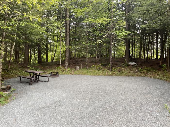 A photo of Site 009 of Loop HAPG at HAPGOOD POND with Picnic Table, Fire Pit, Shade