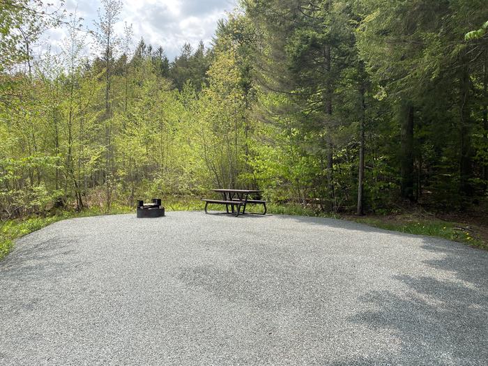 A photo of Site 011 of Loop HAPG at HAPGOOD POND with Picnic Table, Fire Pit, Shade