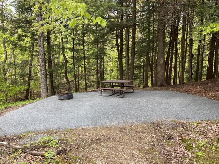 A photo of Site 018 of Loop HAPG at HAPGOOD POND with Picnic Table, Fire Pit, Shade